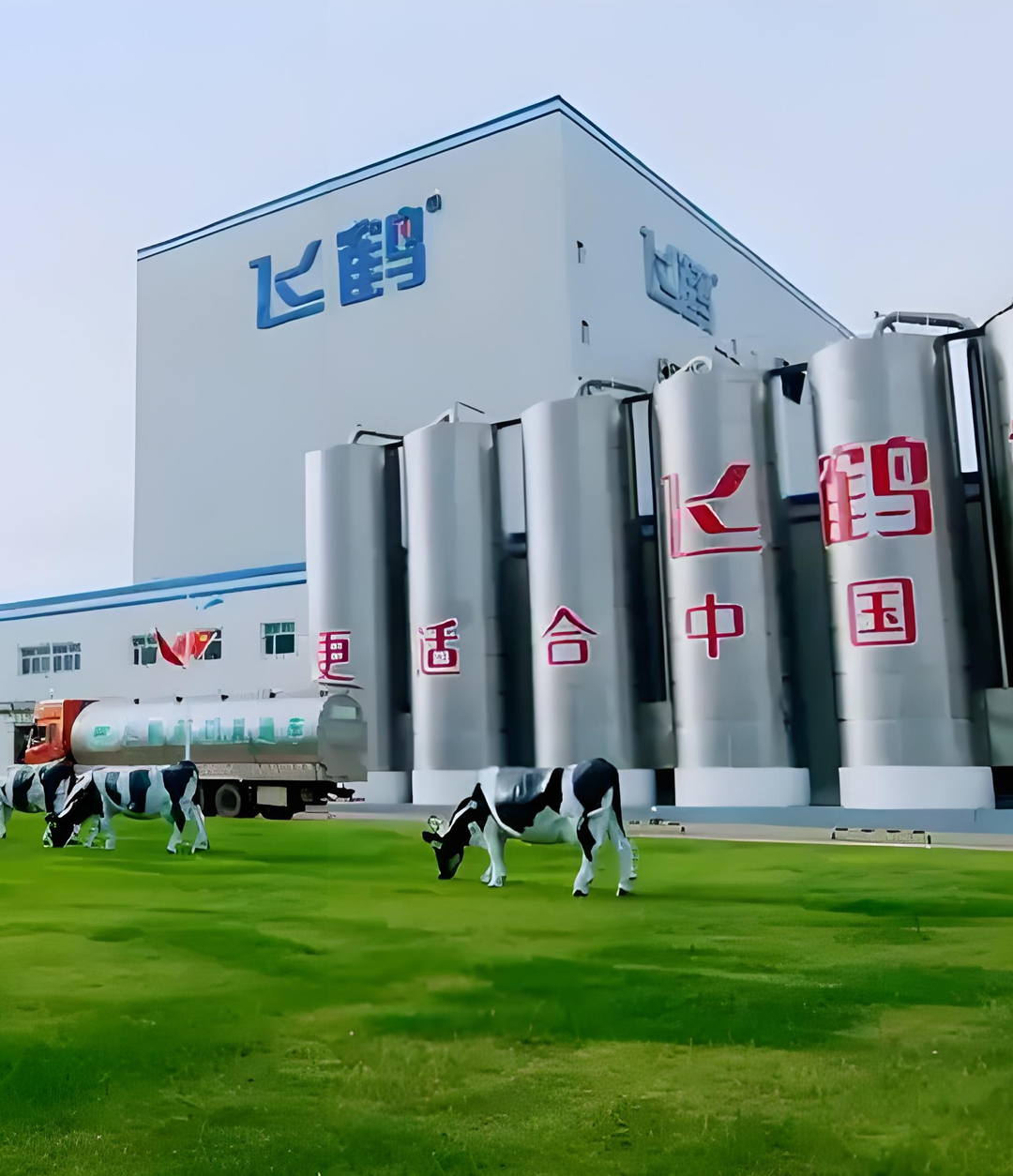 飞鹤乳业电采暖案例